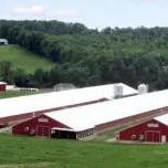 Economical Light Steel House Construction Customized Steel Structure Shed Factory
