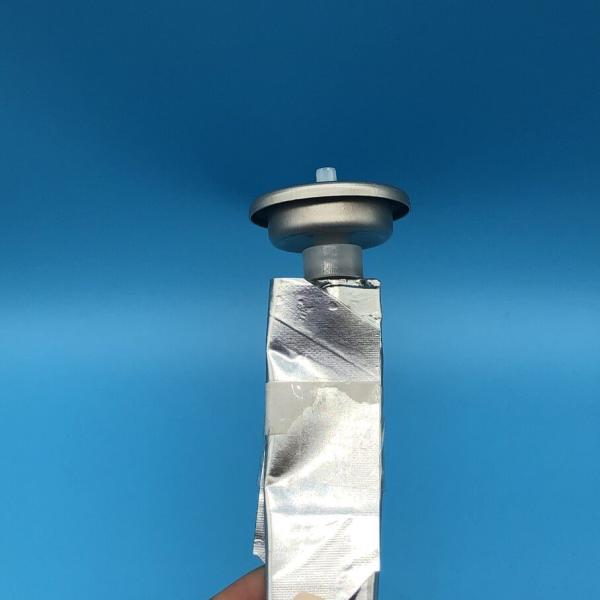 Aérosol de sac de soupape en plastique personnalisé en forme de cylindre argenté