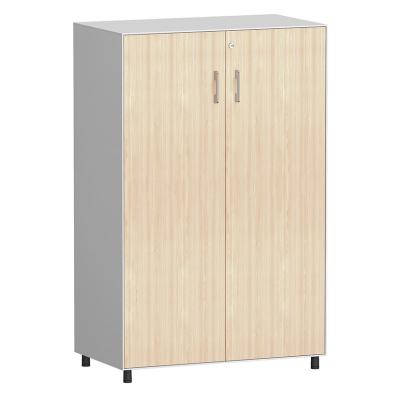 Slim Edge 5mm Swing Door Cabinet Double Layers Plate Steel Office Cabinet