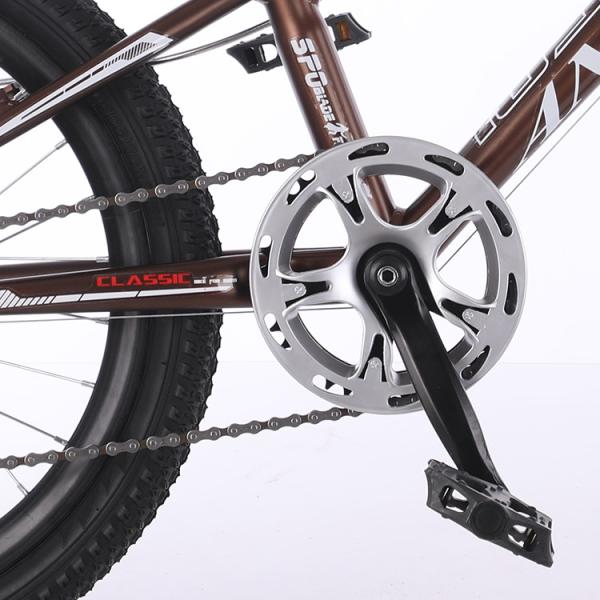 20 Inch 6 Speed MTB Mountain Bikes With Aluminum Alloy Rim
