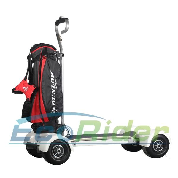 Electric Skateboard Golf 4 Wheel Skateboard With 60V Big Battery And Long Range