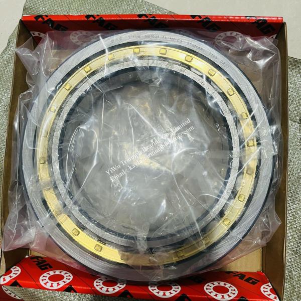 Cylindrical Roller Bearing NU5048 M
