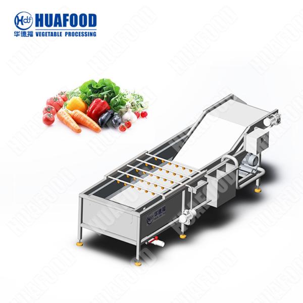 New Design Onion Potato Rinse Vegetable Cleaning Machine With Great Price