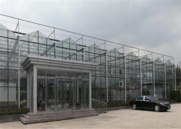 3m - 6m Side Height Agricultural Glass Greenhouse With Cooling Pad Fan System