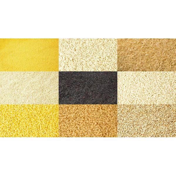 99.99% Accuracy Rice Color Sorter Machine 4 Chutes 256 Channels