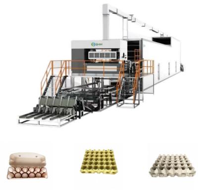 Compact Paper Tray Making Machine precise Pulp Tray Forming Machine