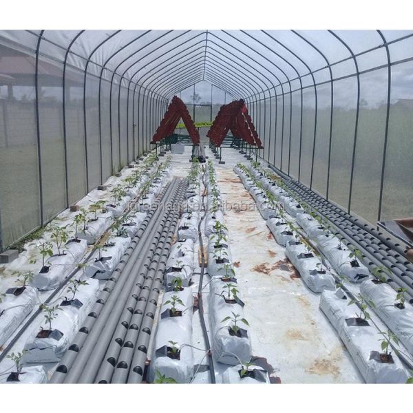 Galvanized Steel Frame Agricultural PE Film Low Cost Garden Green Houses for Plant Growing