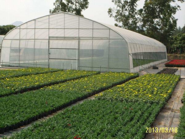Small Size Single Span Greenhouse , Easy Operate Polyethylene Foil Greenhouse