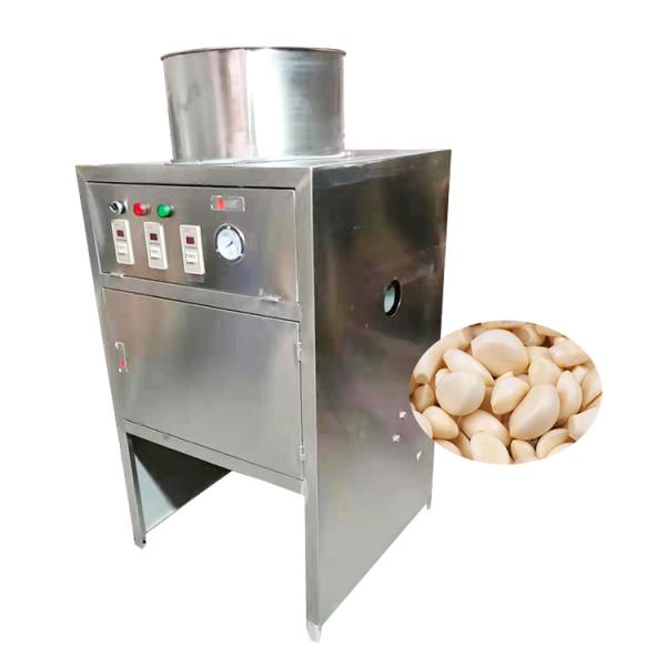 Stainless Steel Garlic Skin Peeling Machine Garlic Peeling Cleaning Machine For Sale