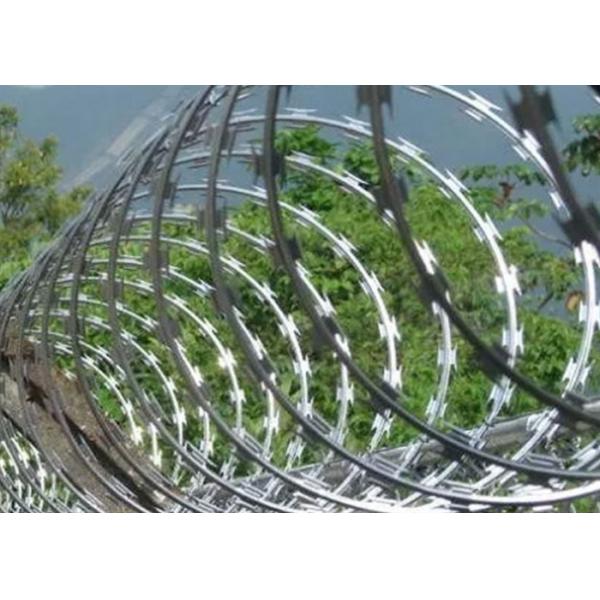 Hot Dip Galvanized Cbt 65 Razor Wire PVC Coated 900mm For Boundary Fencing