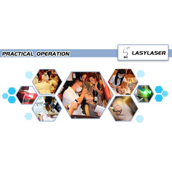 Большие аксессуары машины красоты IPL Handpiece Elight SHR размера