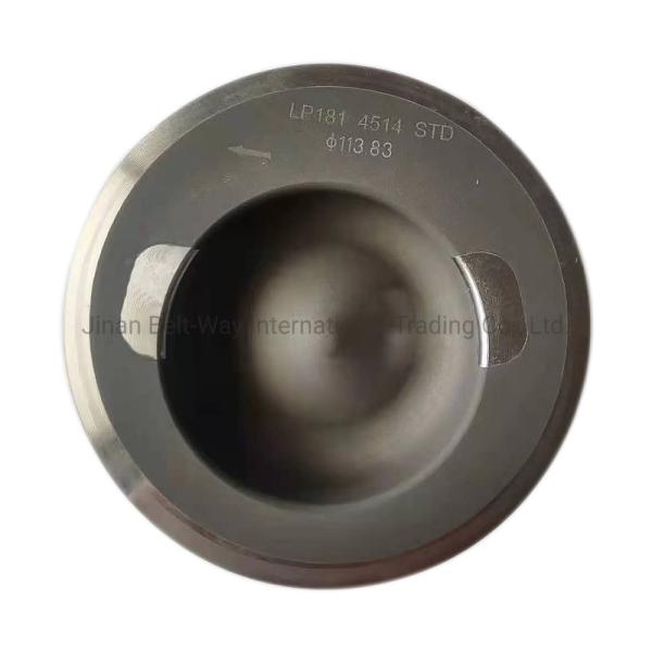 100% Tested Standard Engine Part Piston 3919565 for Cummins 6CT by Sea/Air/Courier