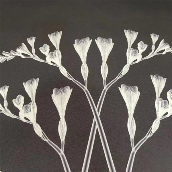 Естественная водоустойчивая ткань 70DX160D 120gsm 150CM куртки зимы Twill