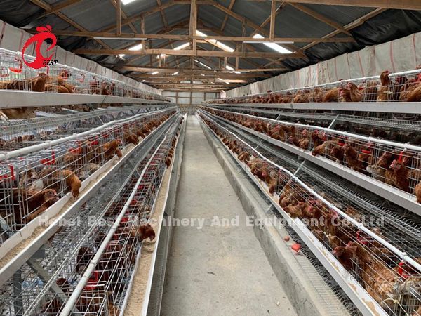 Цена клетки батареи птицефермы в радужке клетки слоя яруса Нигерии 4