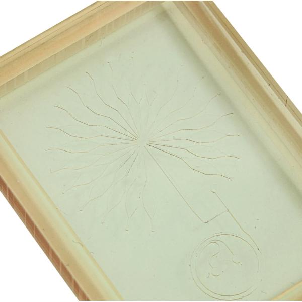 Zegota Lab on Chips 3D Printing Services Electrode Integration