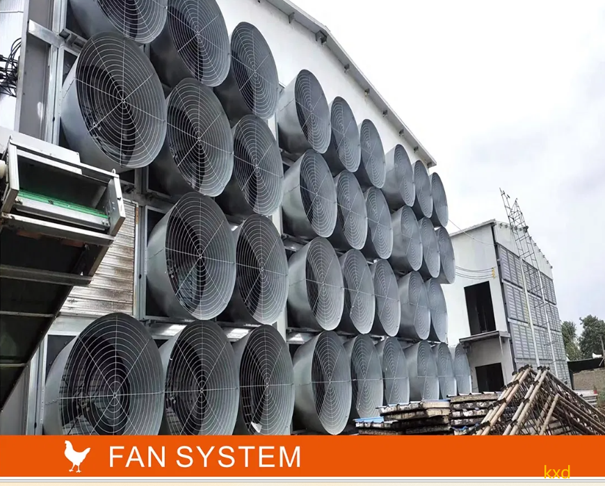 Hot-dip galvanized H-type layer cage with high egg laying rate and good ventilation for large scale poultry breeding