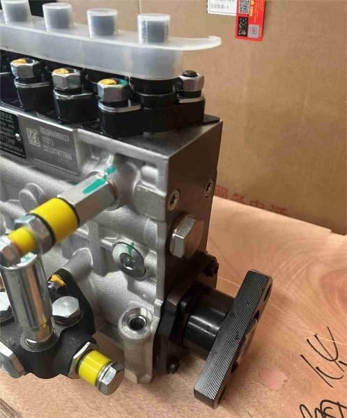 VG1560080023 Assemblage de pompe à injection de carburant Parties de moteur Weichai