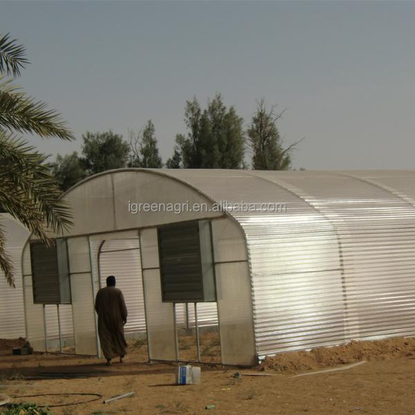 Windproof Single Tunnel Greenhouse With Greenhouse Pad And Fan Cooling System