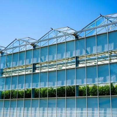 Intelligent Venlo Glass Greenhouse for Bean Growth