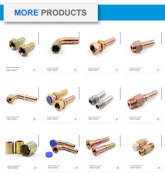Metric Hydraulic Hose Fittings AIR NPT JIC SAE BSP Tube Fittings