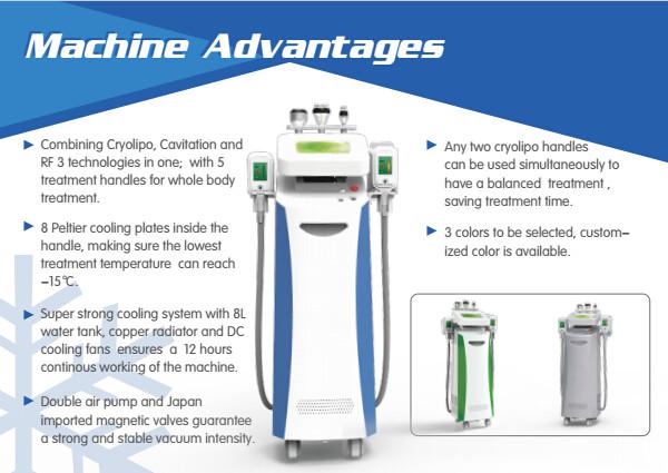 Most effective! Cryo freeze fat to lose weight 5 handles fat freezing cryolipolysis slimming machine