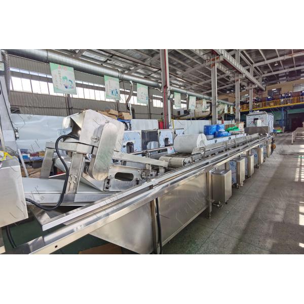 380В линия для мытья овощей и зеленый перец Чили очистительная машина