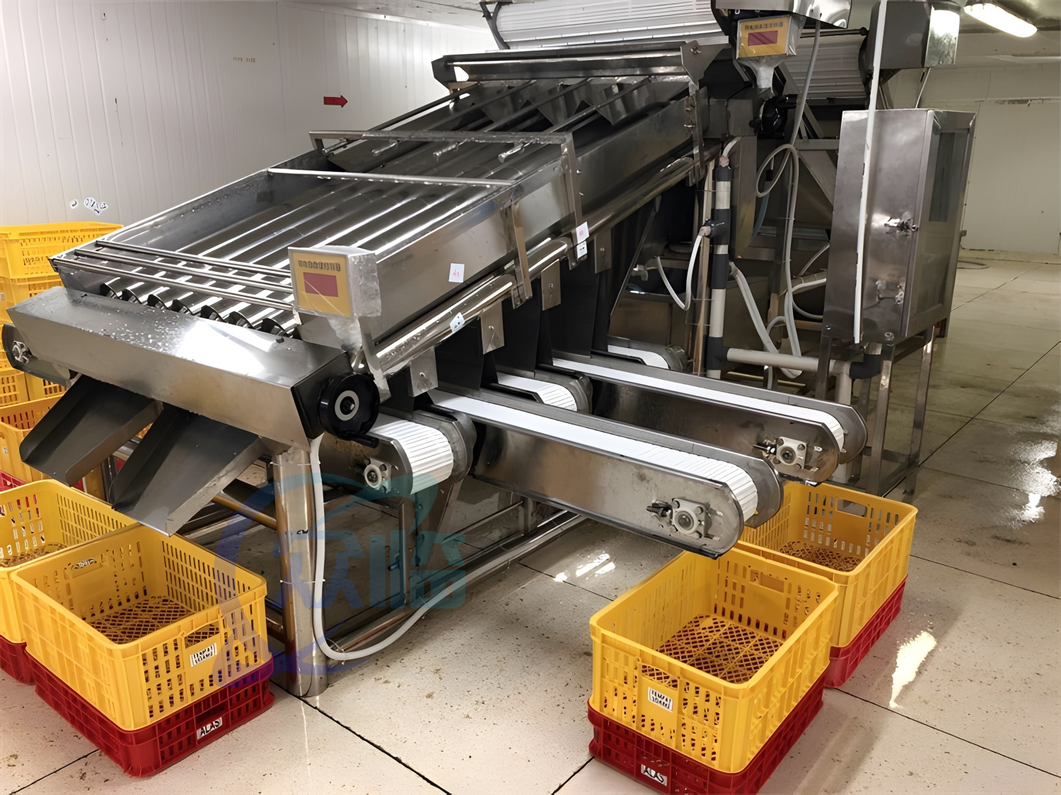 4.9kw Shrimp Processing Machine Prawn Roll Sorting Machine 1000kg-1200kg Capacity
