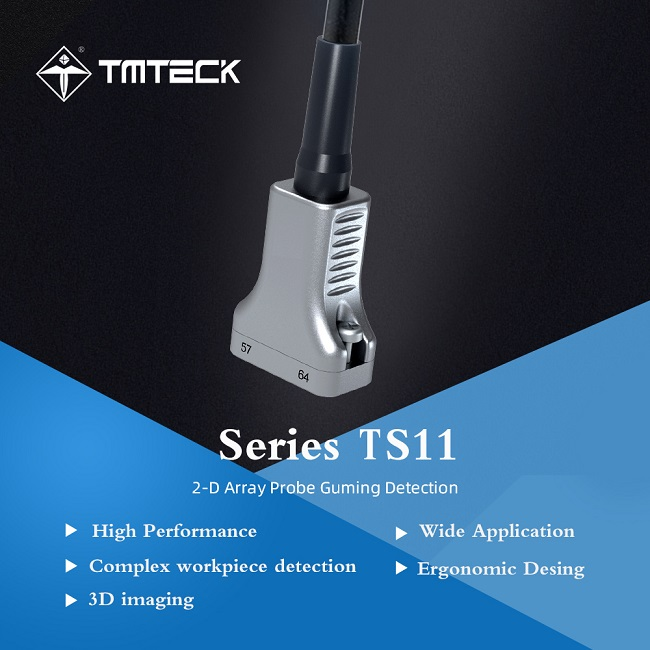 TS11 2D Matrix Array Probe
