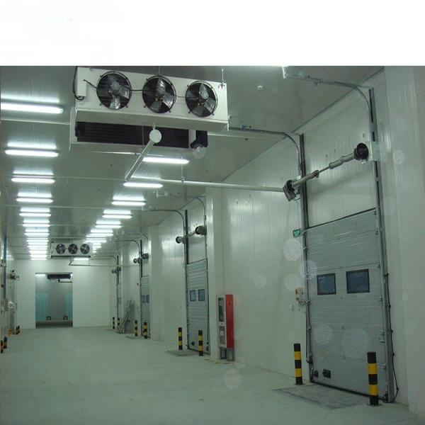 Customização Sistema de refrigeração comercial para peixe Frutas e legumes Armazenamento Sala de congelação