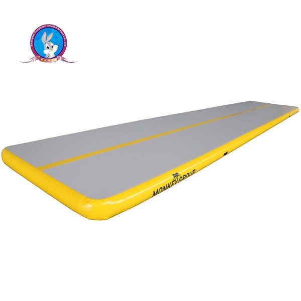 10m 32.8ft Long air Track Gymnastics Gym Mat