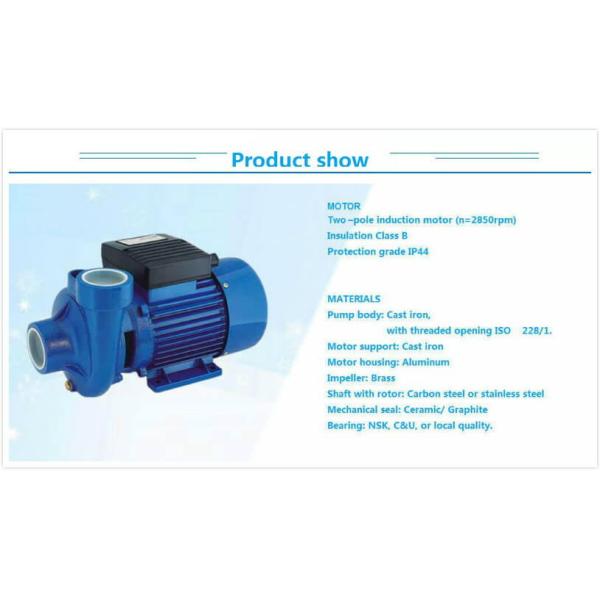 Small Electric Centrifugal Water Pump 1hp For House Watering Sewage Water Pumps 1.5DKM-20