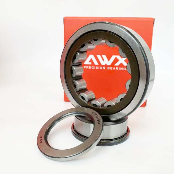 Heavy Load Capacity Cylindrical Bearing Nu220e Nu221 Nu222 Nu224