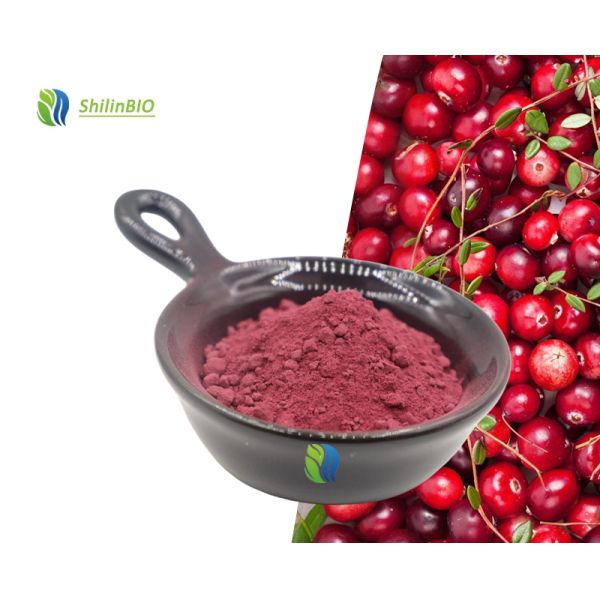 Food Grade Cranberry Extract Powder Cranberry Dried Fruit Cranberry Fruit Powder