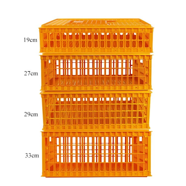 Heavy Duty Plastic Poultry Transport Crate Customizable Colors Sizes For Secure Delivery