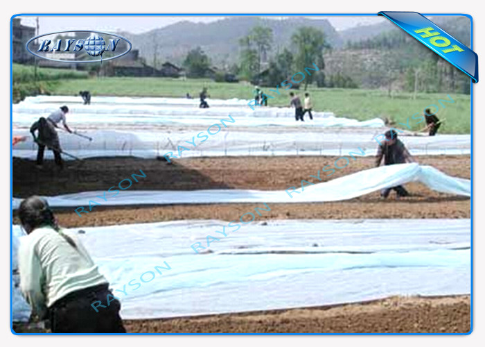 Многоразовый Nonwoven PP Spunbond ширины Макс 46m совместный для выращивания растения