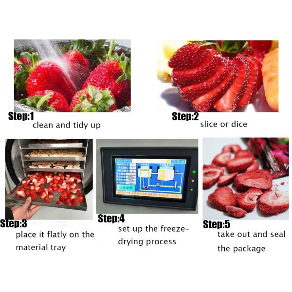 Промышленная лаборатория Домашний мини-сушильщик для заморозки Мгновенный кофе Цветы травы Пищевые лиофилизаторы