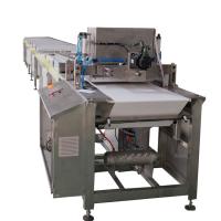 Servo motor 50 kg/h Máquina para fazer as fichas de chocolate