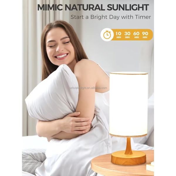 100V - 240V Desk Sad Light Modern Sleep Therapy Light For Hotel , Home