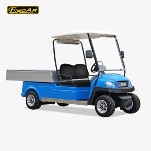 Blue Electric Utility Golf Cart Hotel Buggy Car For 2 Person Battery Operated CE