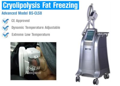 Cryolipolysis slimming equipment China manufacturer cryolipolysis machine for sale body shaper slimming machine