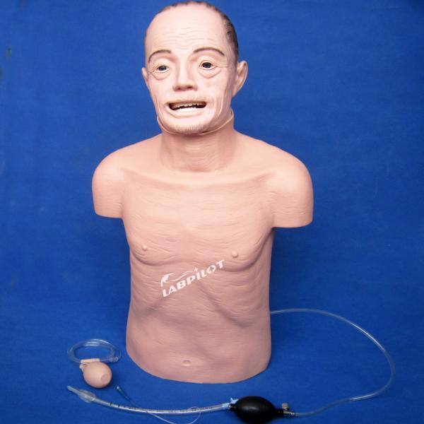 Electronic Type Elderly CPR and Intubation Training Manikin for Lifesaving Techniques