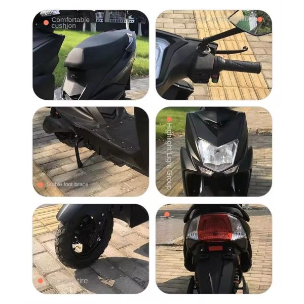2024 800W 60v Cargo Delivery Motorcycle with Rear Hub Motor Steel Frame Lithium Battery
