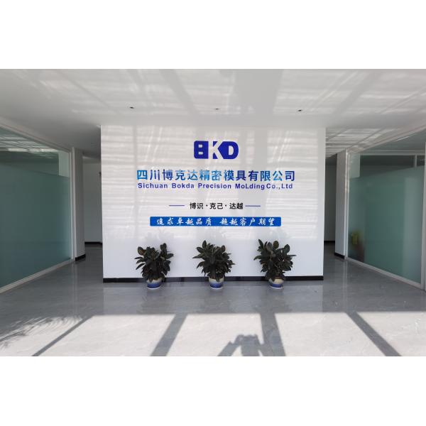 Sichuan Bokda Precision Molding Co., Ltd.