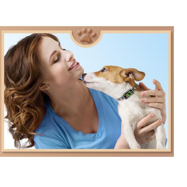 IP67 Waterproof Dog Training Collar 4 Modes Warning Tone Vibrate Static Shock Upgrade