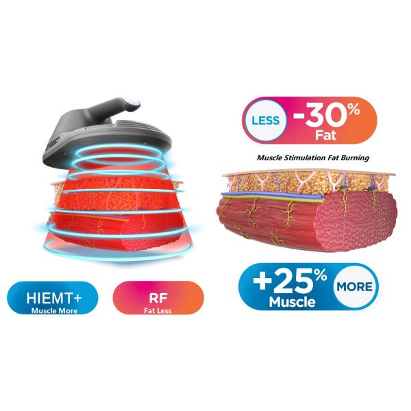 4 Handles Emslim Electromagnetic Muscle Stimulation Machine