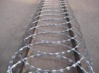Cbt-65 Stainless Steel Galvanized Steel PVC Coated Security Razor Wire Mesh