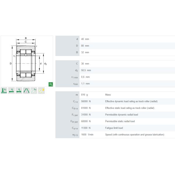 NUTR 40 Full Complement Cylindrical Roller Set With Axial Guidance
