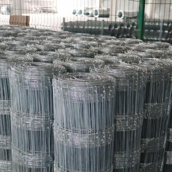 10m-30m Galvanized Grassland Wire Mesh Fence Netting For Sheep Field Deer Farm