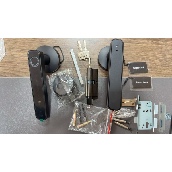 Qleung Smart Handle Lock S604N Fingerprint Password Card Key Unlocking Tuya Smart Home Lock