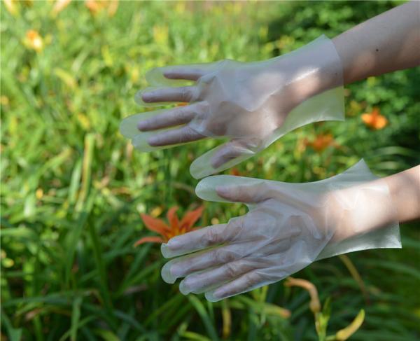 Ambidextrous Food Grade Disposable TPE Gloves